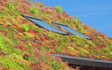 Saltford living roof systems
